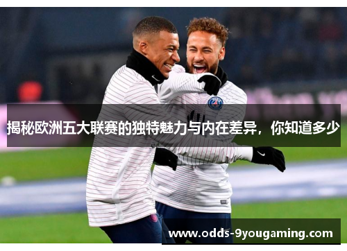 揭秘欧洲五大联赛的独特魅力与内在差异，你知道多少